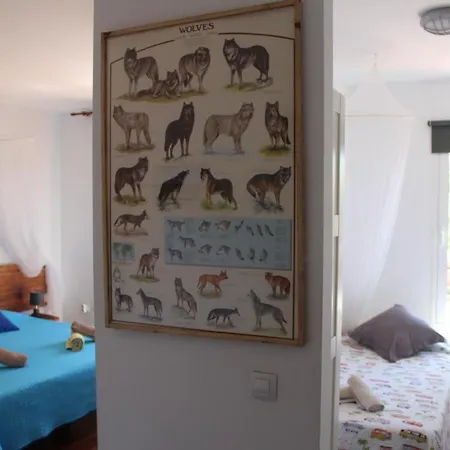 Da Mata Kite&surf House Alojamento de Acomodação e Pequeno-almoço Lajares